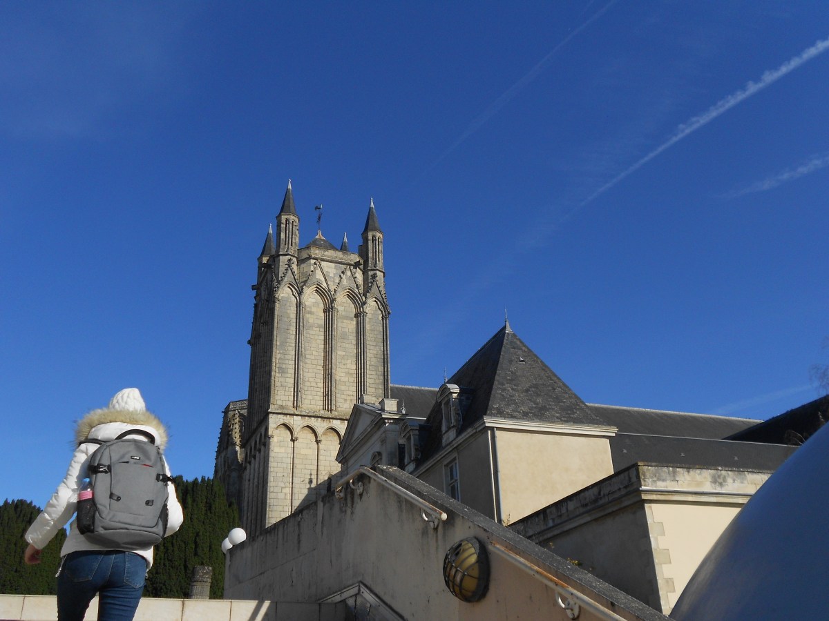 Erasmus changed my life and it will change yours too