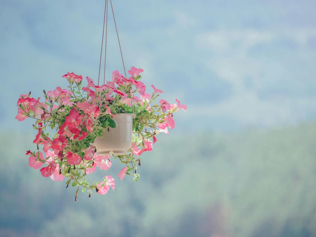 Top 5 Japanese Concepts for Embracing Everyday Life | Art of Saudade